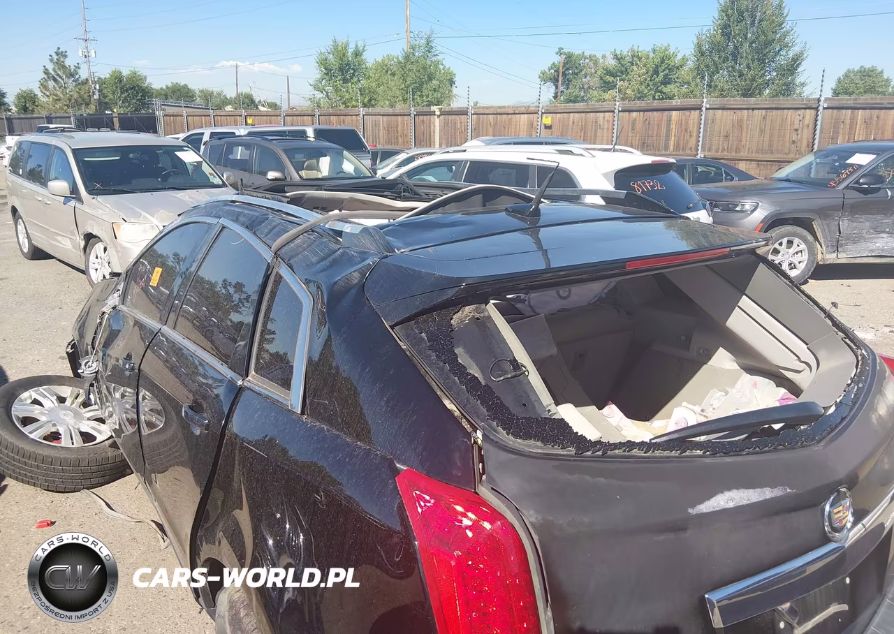2010 Cadillac Srx Luxury Collection VIN:3GYFNDEY5AS629324 - 12
