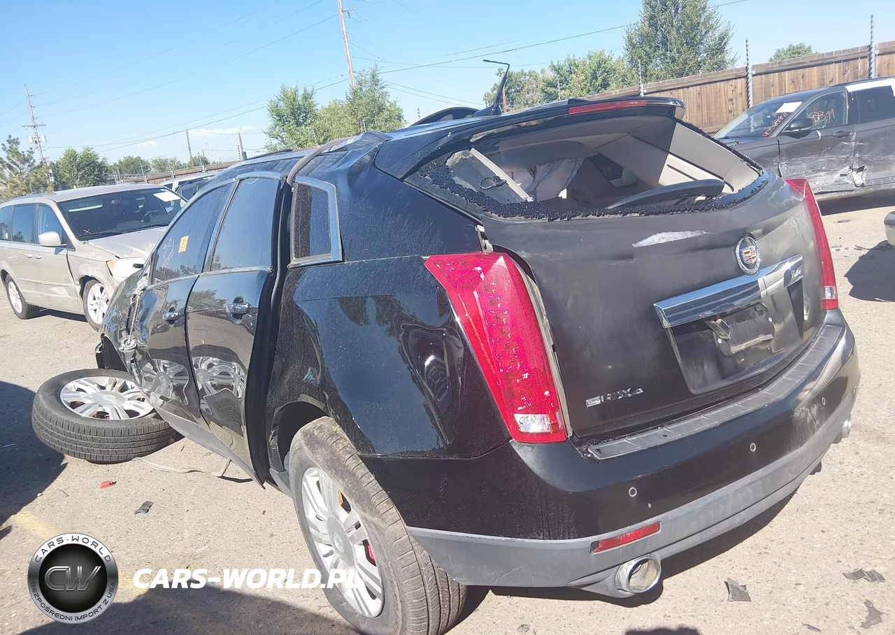 2010 Cadillac Srx Luxury Collection VIN:3GYFNDEY5AS629324 - 3
