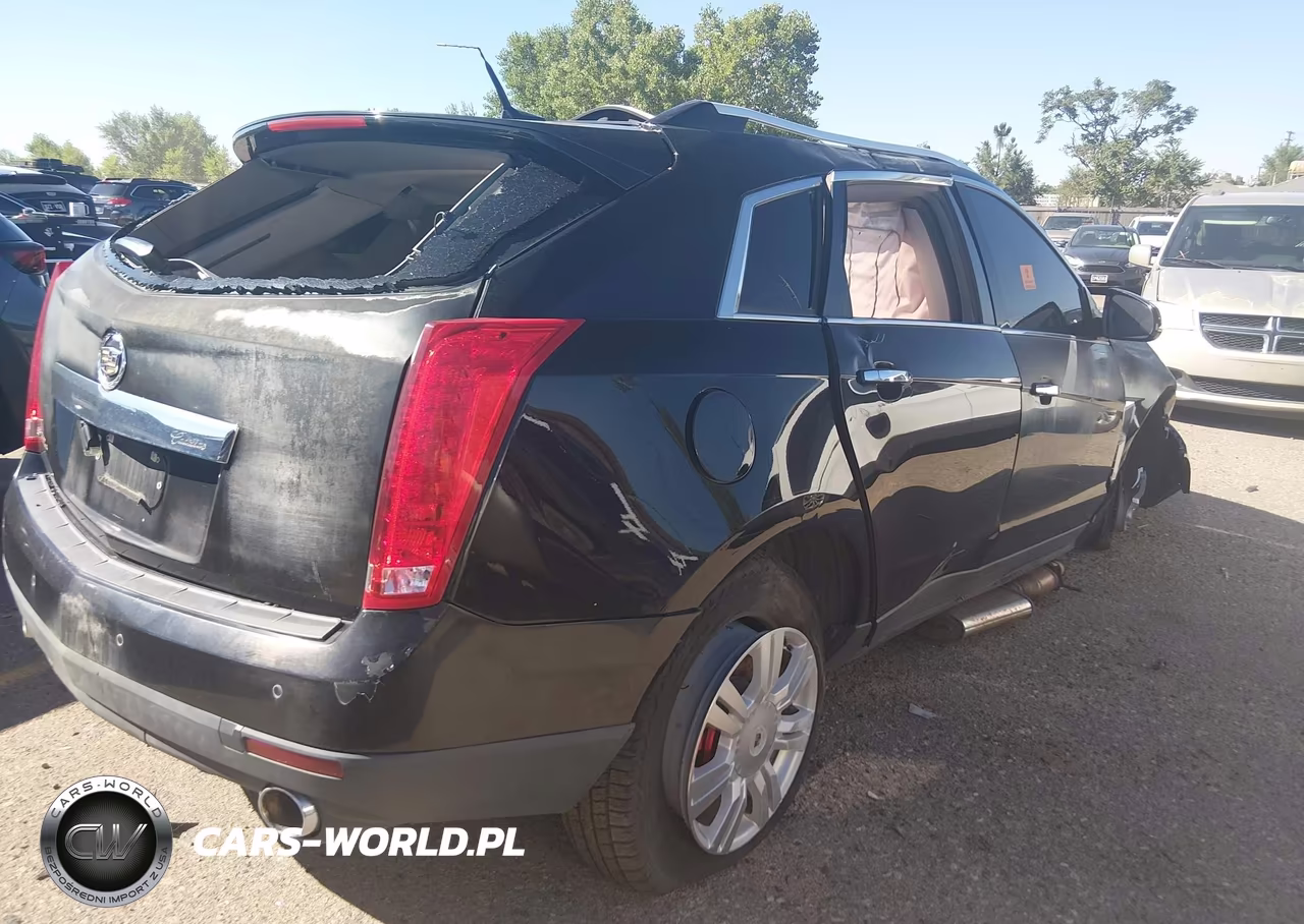 2010 Cadillac Srx Luxury Collection VIN:3GYFNDEY5AS629324 - 4