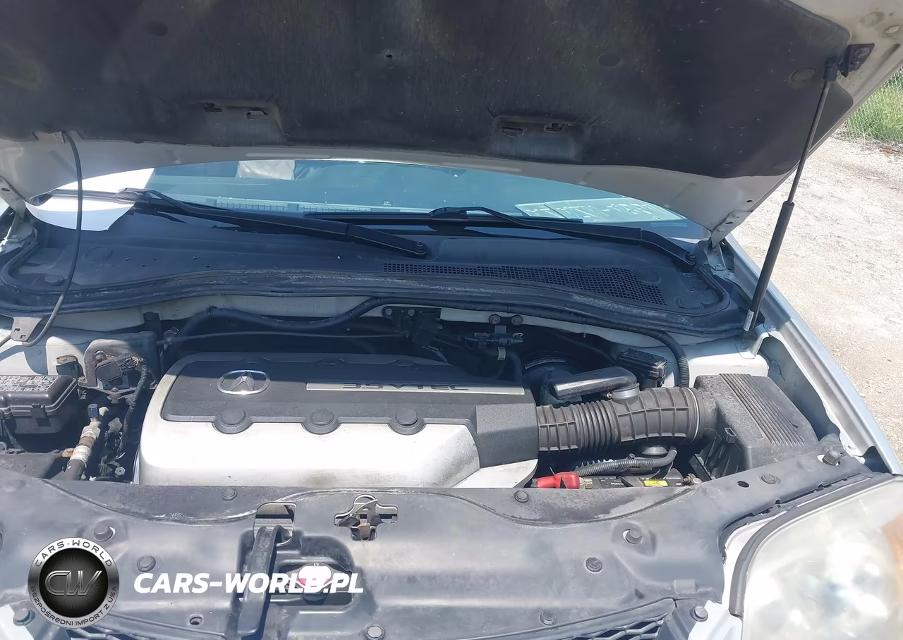 2006 Acura Mdx VIN:2HNYD18846H547813 - 10