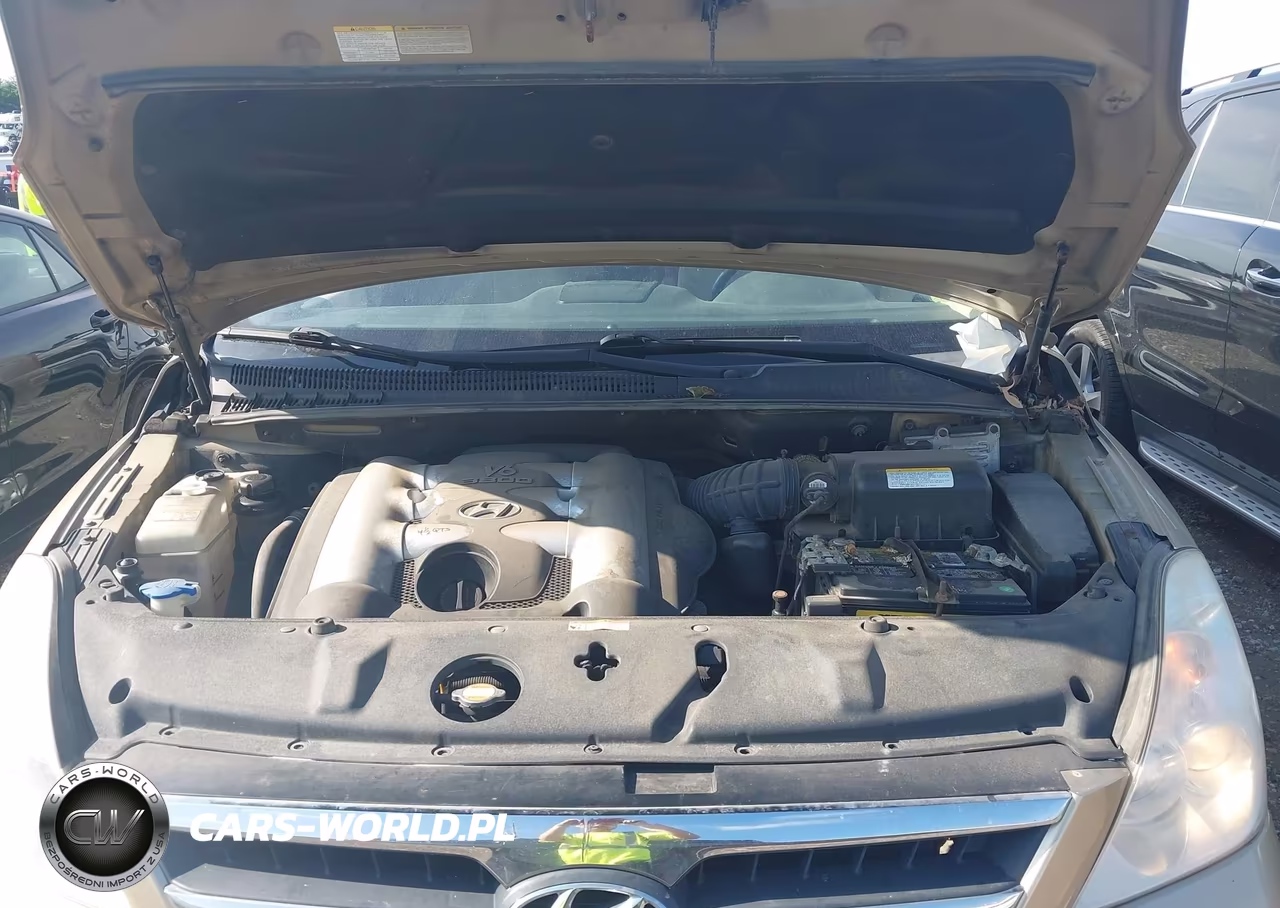 2007 Hyundai Entourage Gls-Limited-Se VIN:KNDMC233676011263 - 10