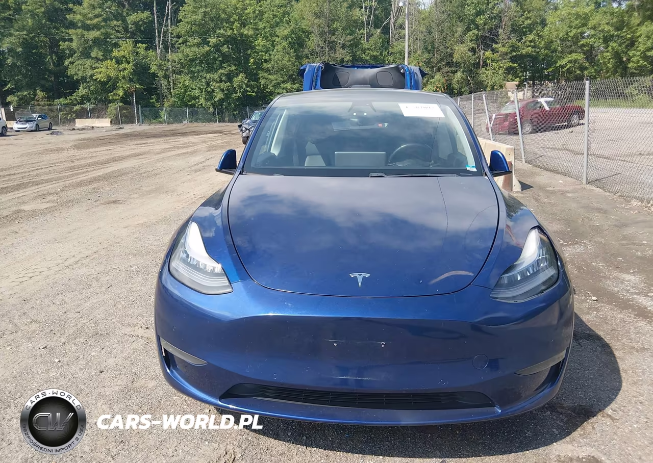 2020 Tesla Model Y Long Range Dual Motor All-Wheel Drive VIN:5YJYGDEE9LF026225 - 12