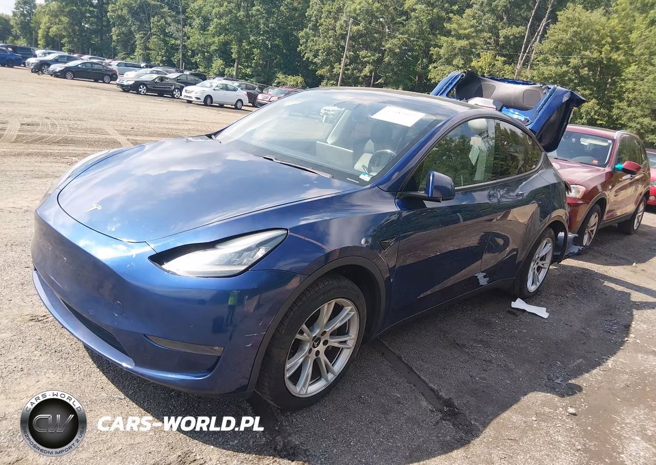 2020 Tesla Model Y Long Range Dual Motor All-Wheel Drive VIN:5YJYGDEE9LF026225 - 2
