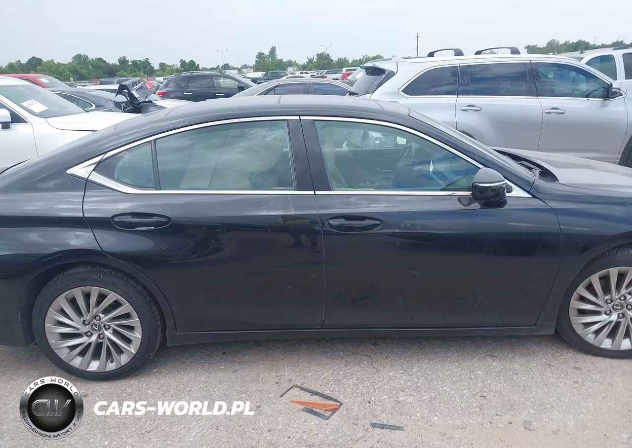 2019 Lexus Es 350 Luxury VIN:58ABZ1B10KU003460 - 13