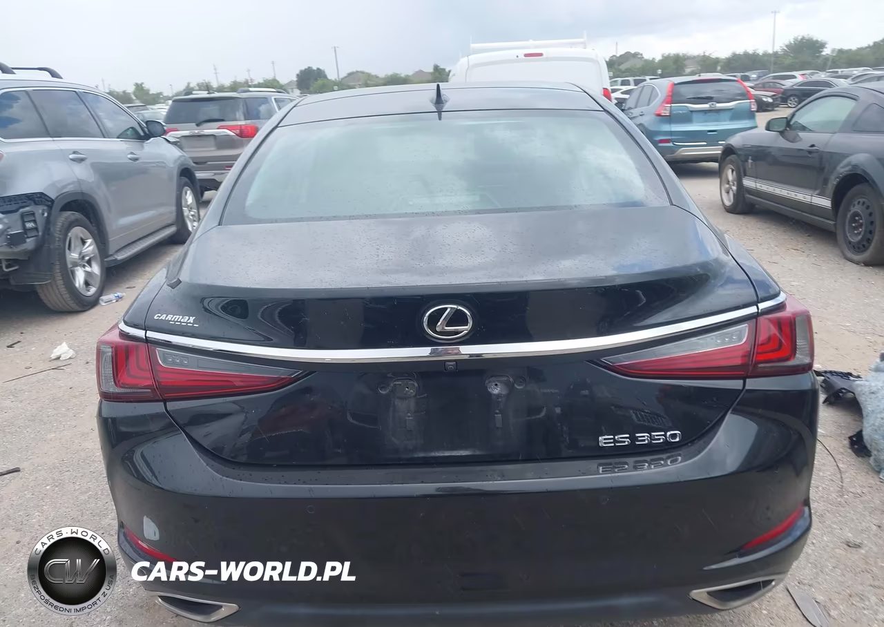 2019 Lexus Es 350 Luxury VIN:58ABZ1B10KU003460 - 16