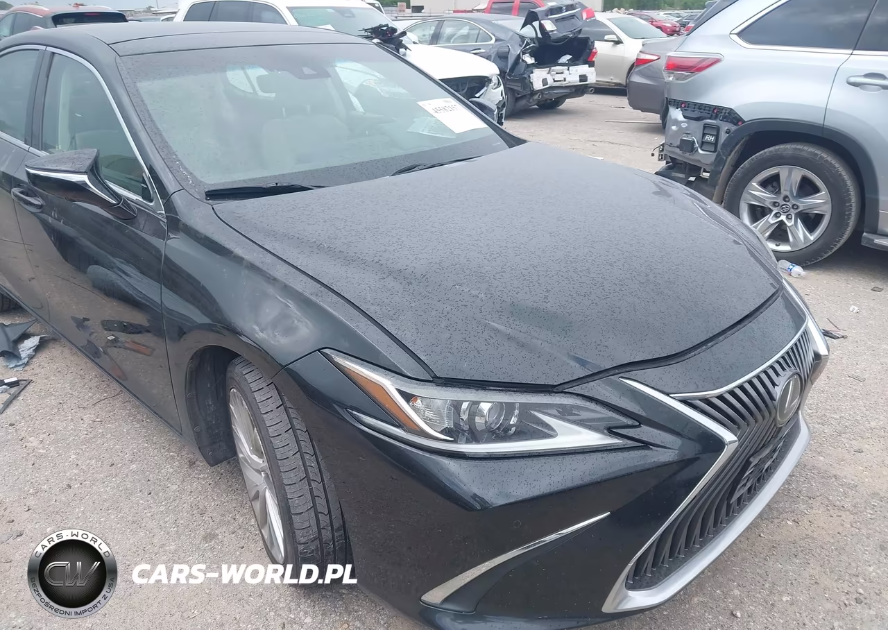 2019 Lexus Es 350 Luxury VIN:58ABZ1B10KU003460 - 6