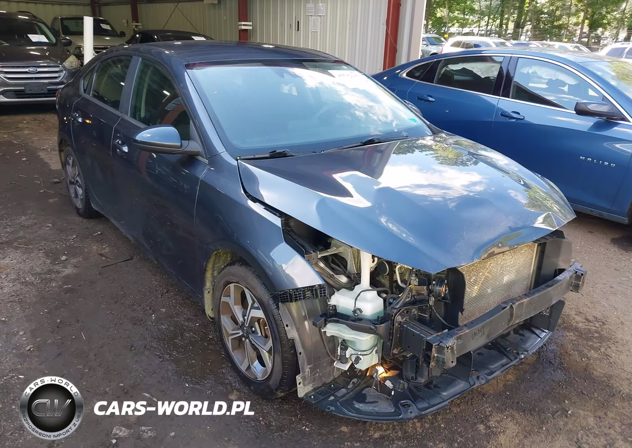 2019 Kia Forte Lxs – zdjęcie 1 z 17