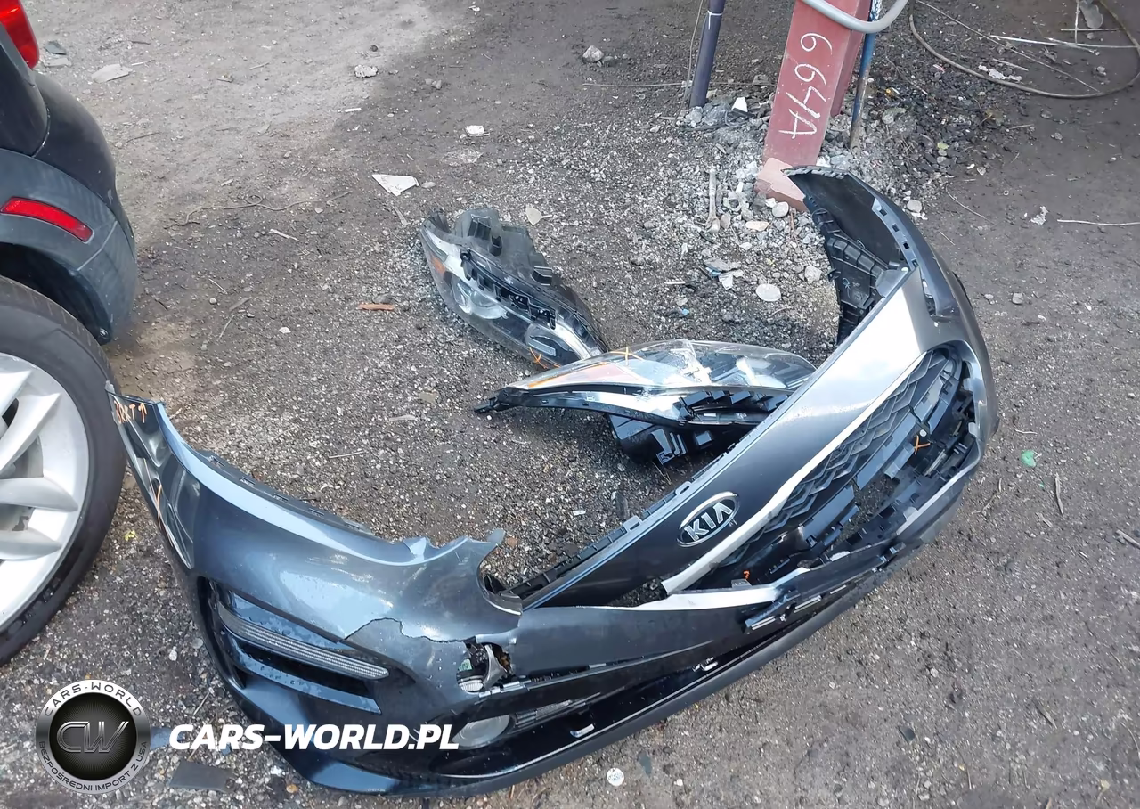 2019 Kia Forte Lxs VIN:3KPF24AD1KE058674 - 12