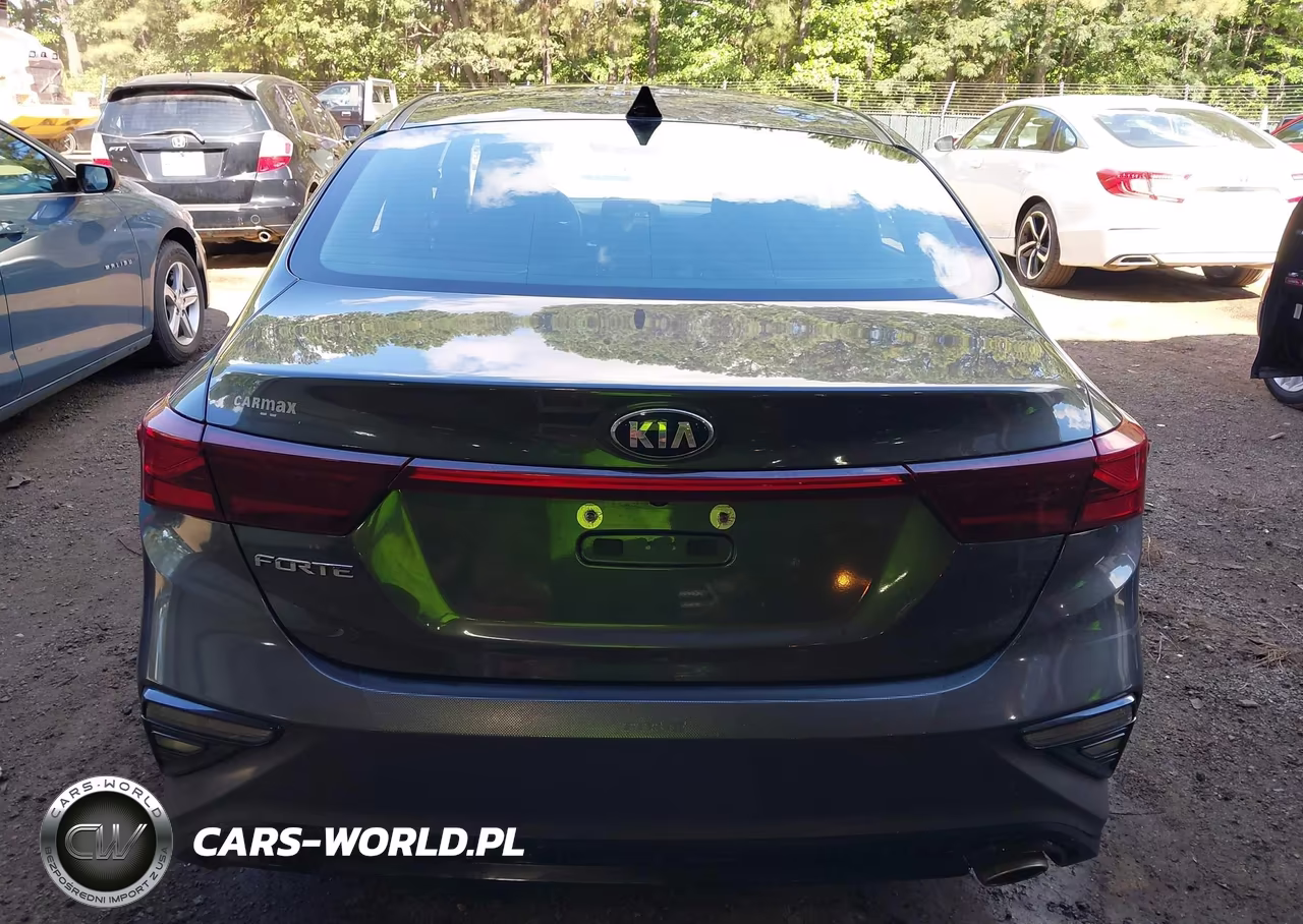 2019 Kia Forte Lxs VIN:3KPF24AD1KE058674 - 17