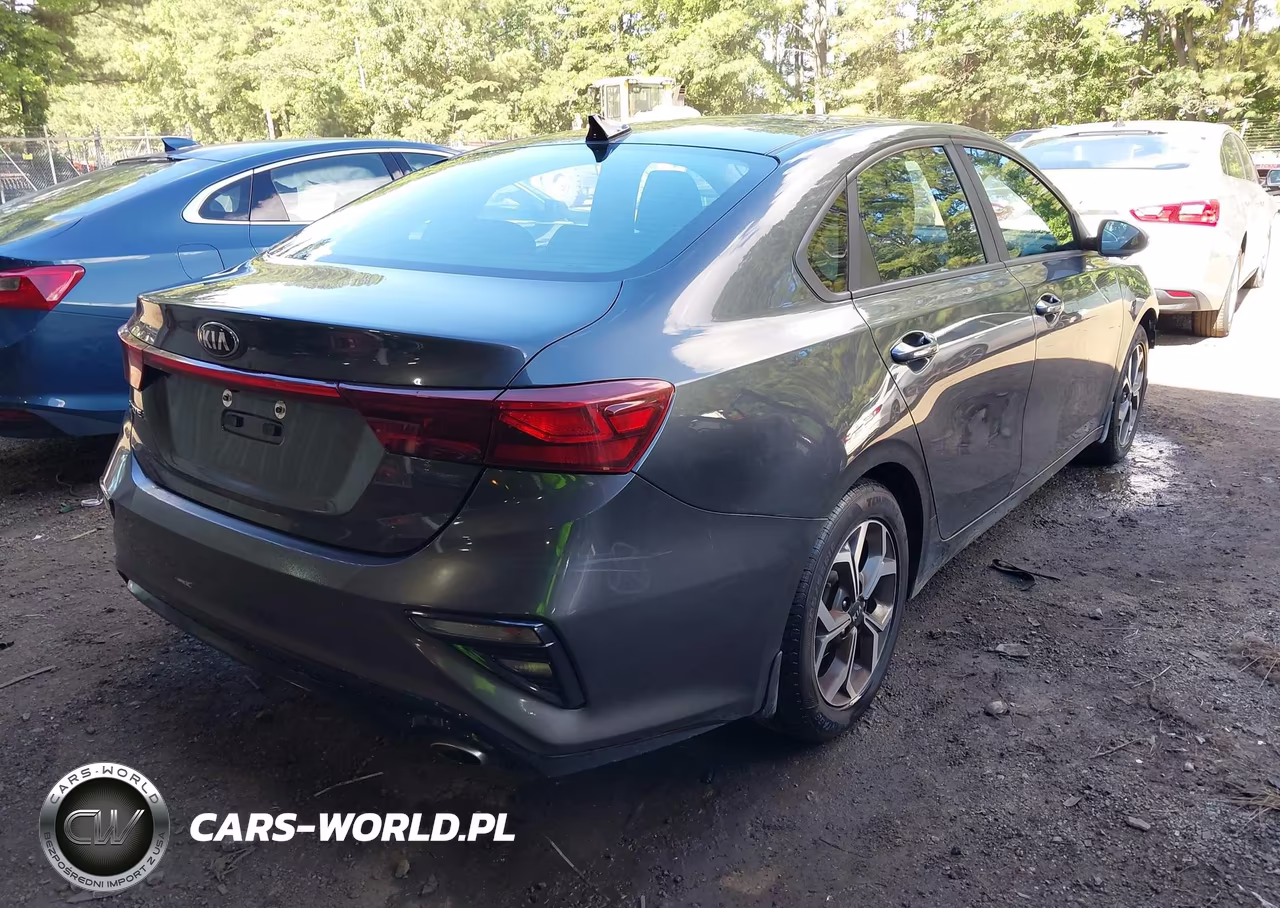 2019 Kia Forte Lxs VIN:3KPF24AD1KE058674 - 4