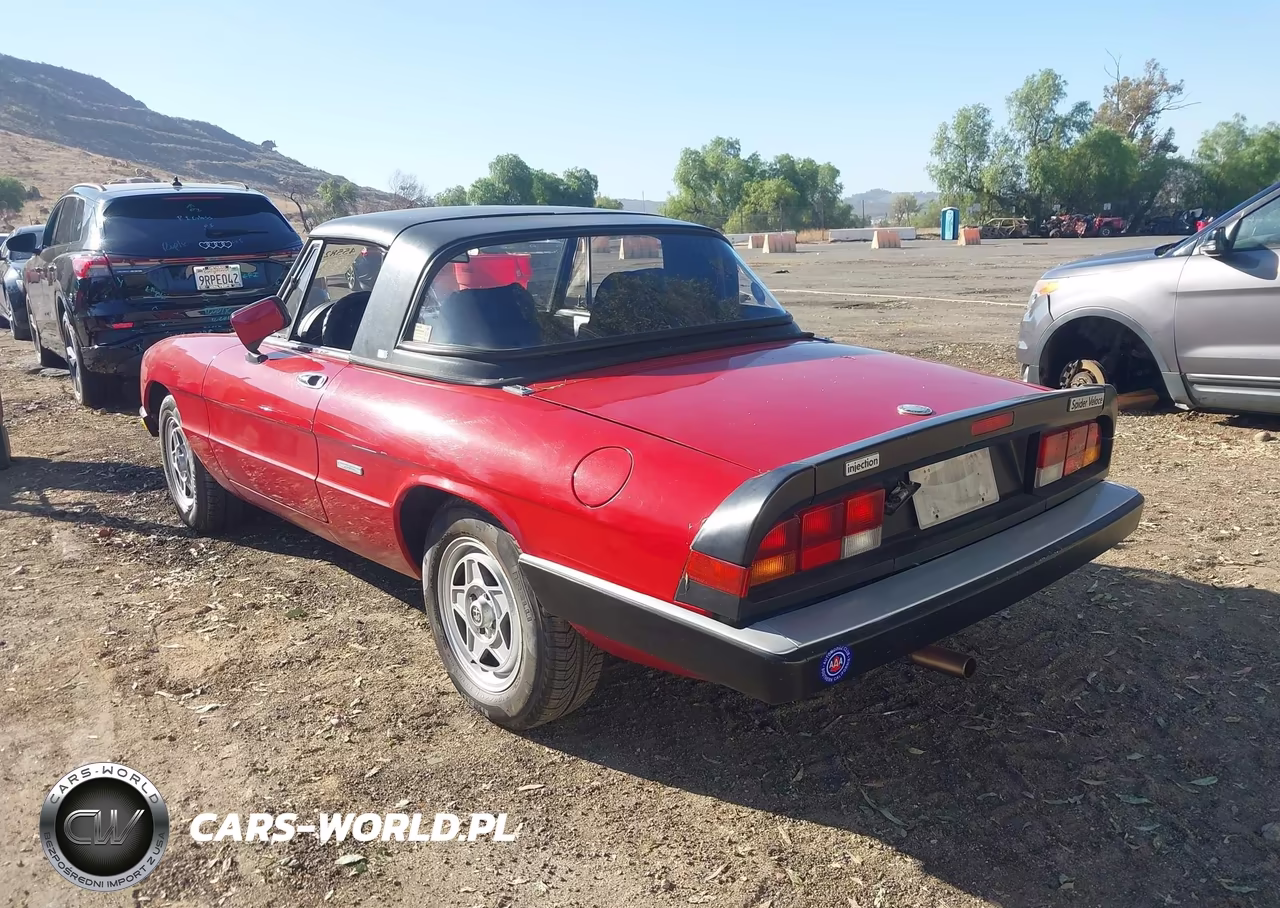 1986 Alfa Romeo Veloce 2000 Spider VIN:ZARBA5410G1038294 - 3
