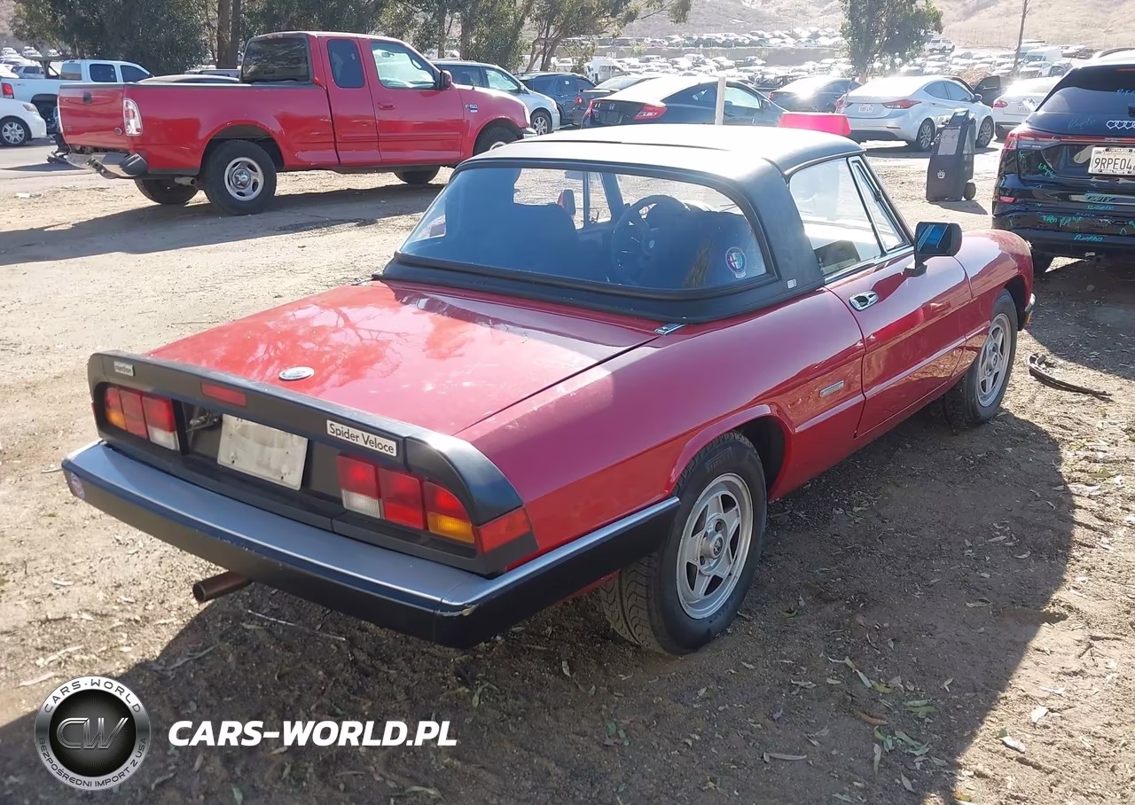 1986 Alfa Romeo Veloce 2000 Spider VIN:ZARBA5410G1038294 - 4