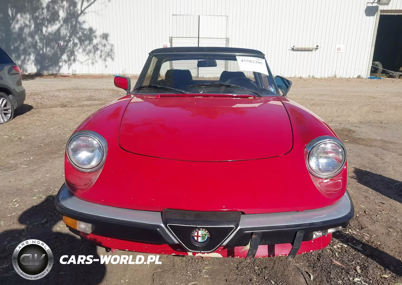 1986 Alfa Romeo Veloce 2000 Spider VIN:ZARBA5410G1038294 - 6