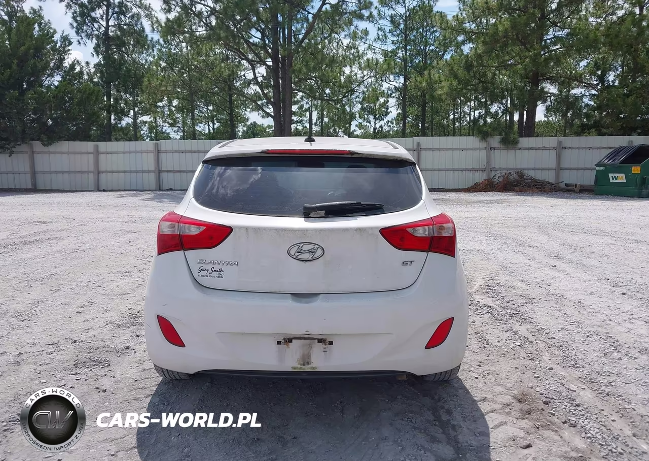 2014 Hyundai Elantra Gt VIN:KMHD35LH4EU165391 - 17