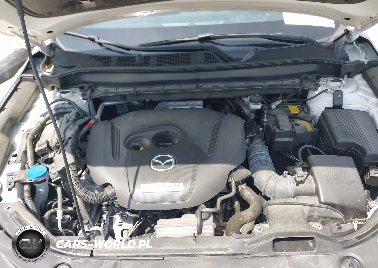 2024 Mazda Cx-5 2.5 Turbo Premium VIN:JM3KFBDY1R0370557 - 10