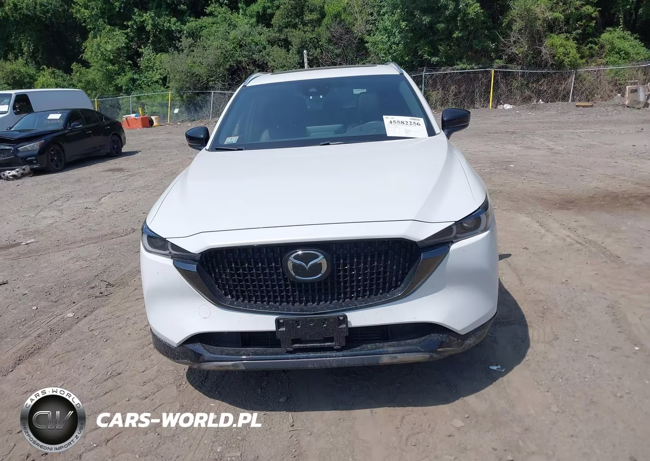 2024 Mazda Cx-5 2.5 Turbo Premium VIN:JM3KFBDY1R0370557 - 12