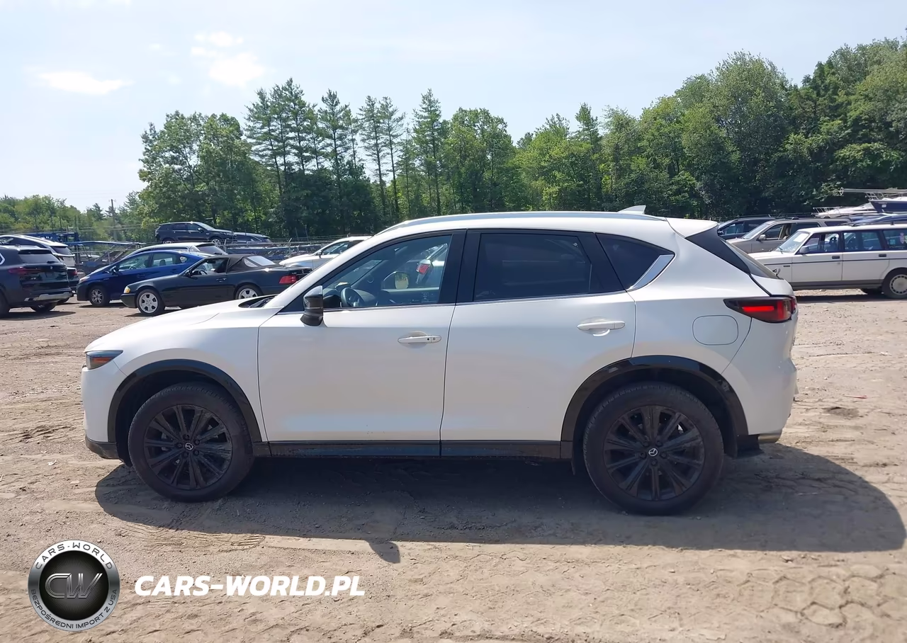 2024 Mazda Cx-5 2.5 Turbo Premium VIN:JM3KFBDY1R0370557 - 14
