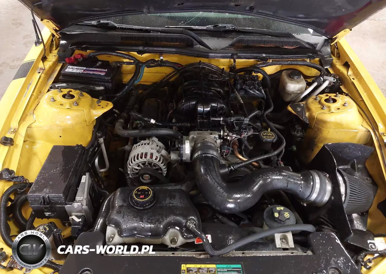 2006 Ford Mustang V6 VIN:1ZVFT80N365255715 - 10