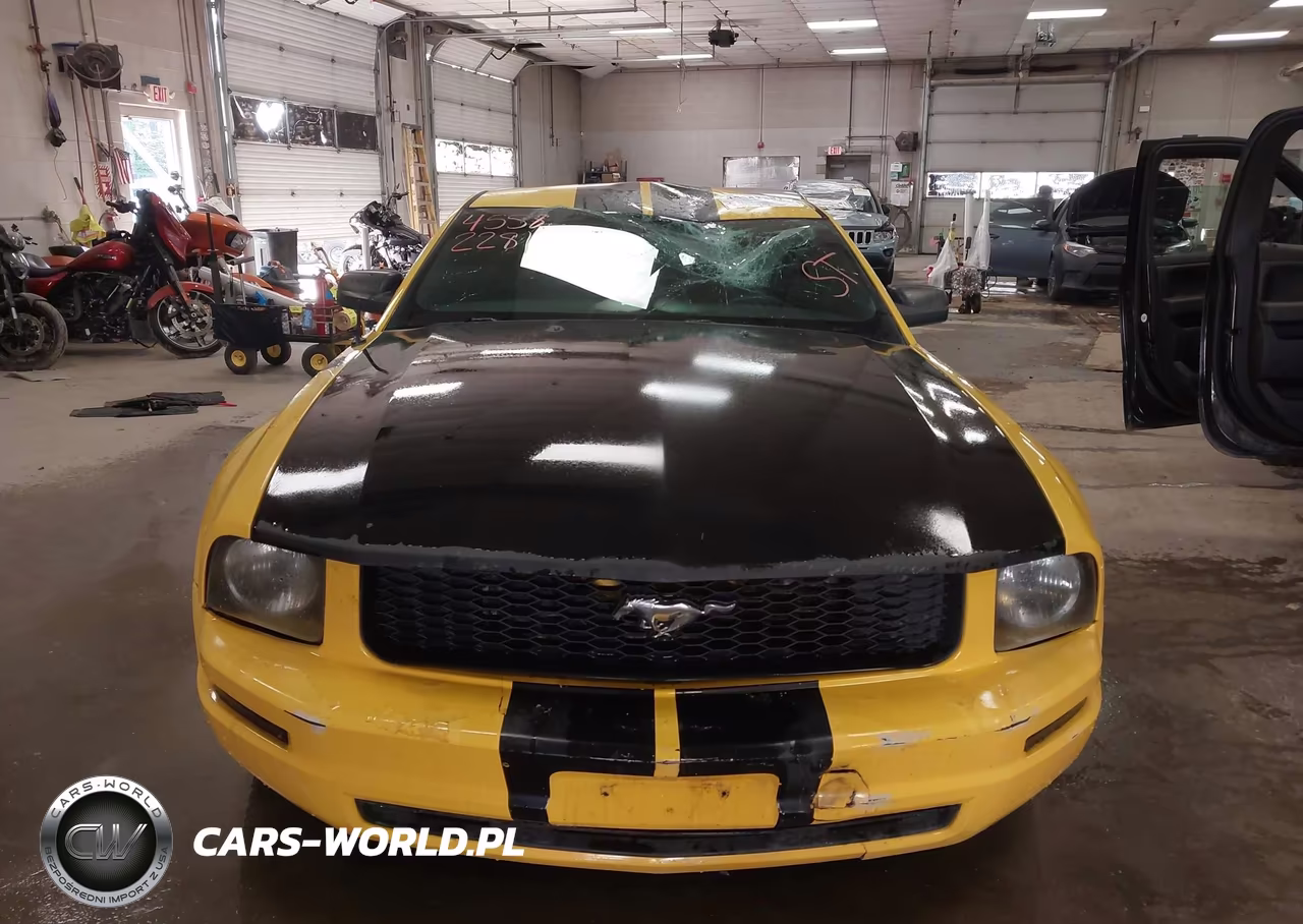 2006 Ford Mustang V6 VIN:1ZVFT80N365255715 - 12