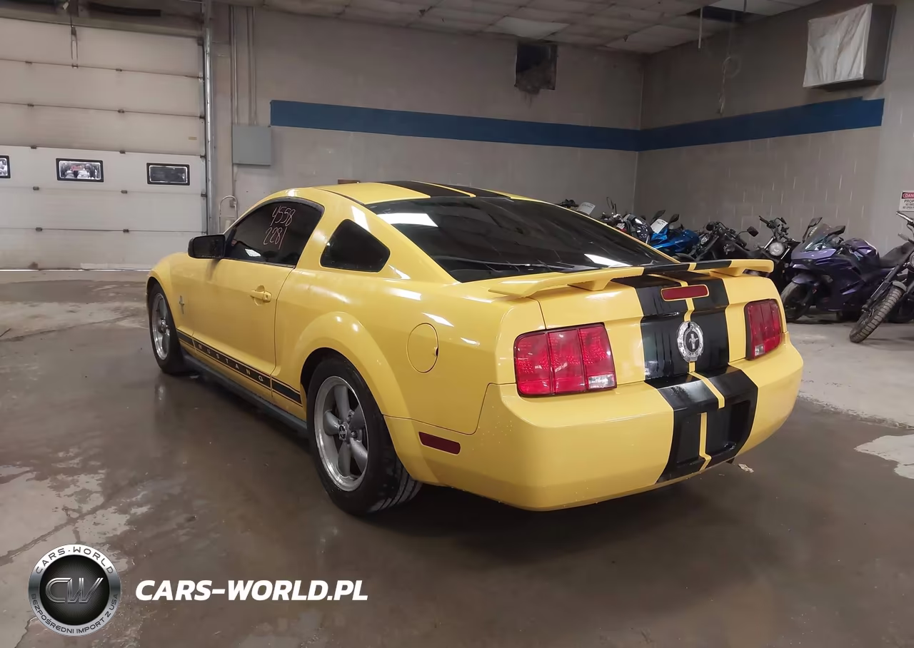 2006 Ford Mustang V6 VIN:1ZVFT80N365255715 - 3