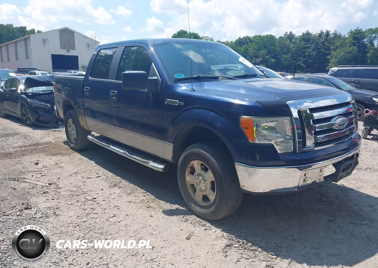 2009 Ford F-150 Xl-Xlt