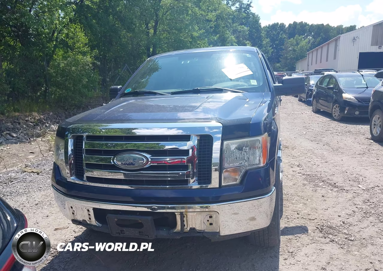2009 Ford F-150 Xl-Xlt VIN:1FTRW148X9FA74791 - 12
