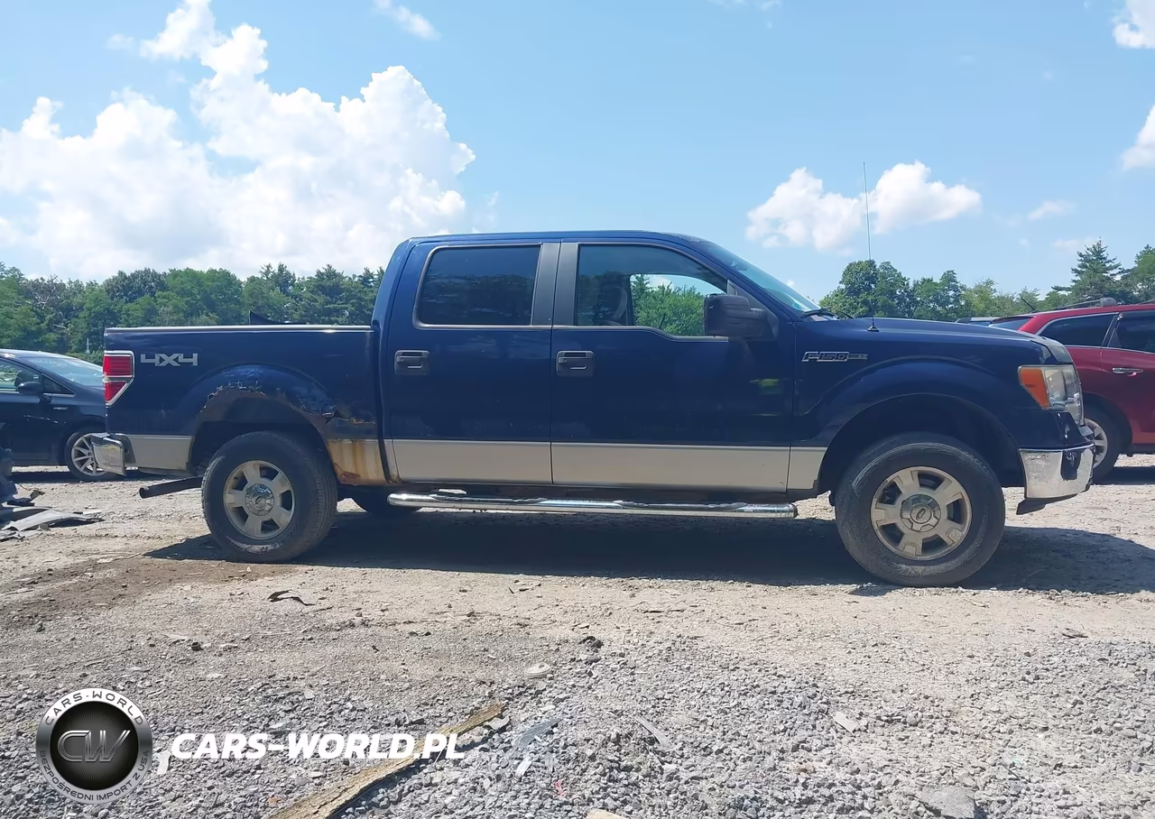 2009 Ford F-150 Xl-Xlt VIN:1FTRW148X9FA74791 - 13