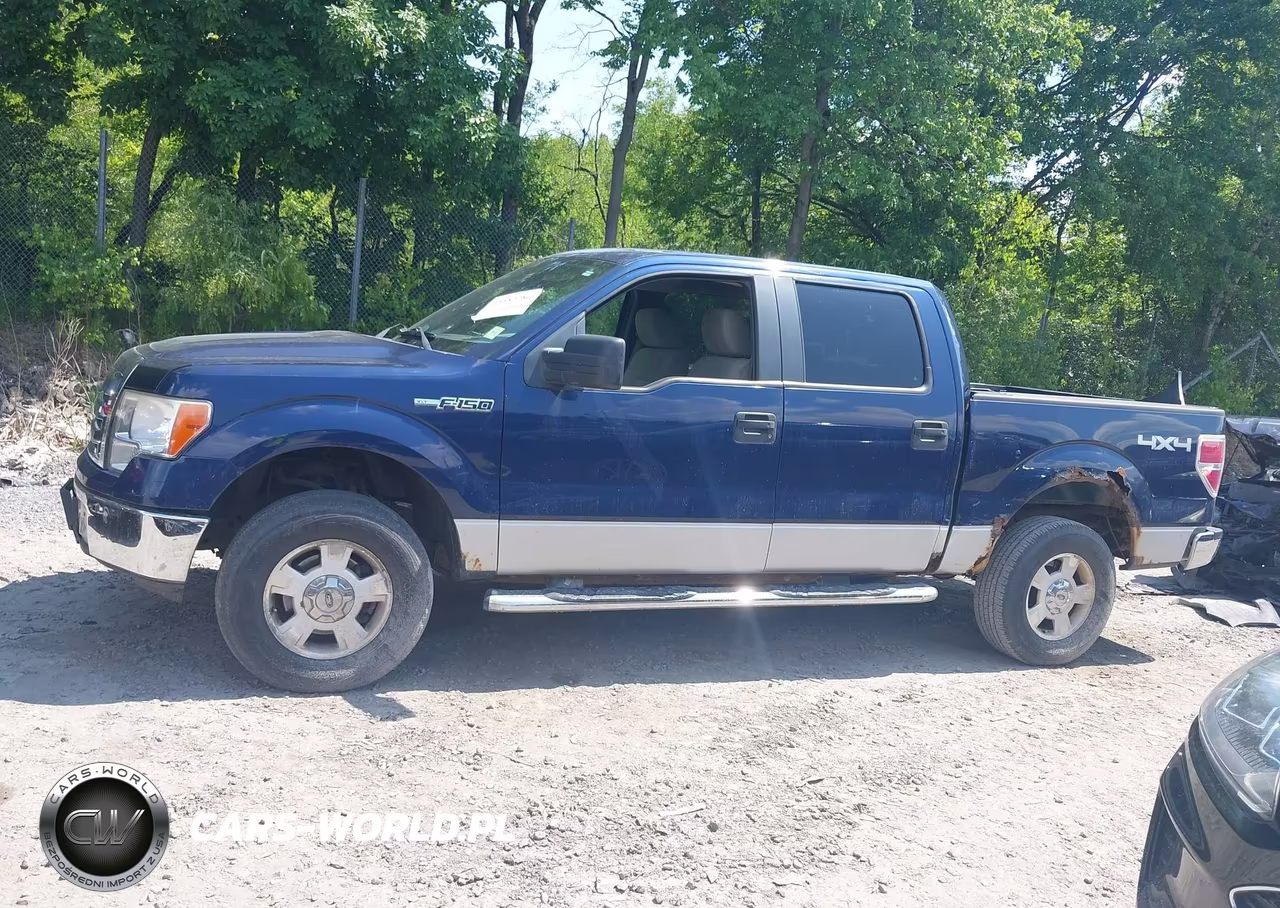 2009 Ford F-150 Xl-Xlt VIN:1FTRW148X9FA74791 - 14