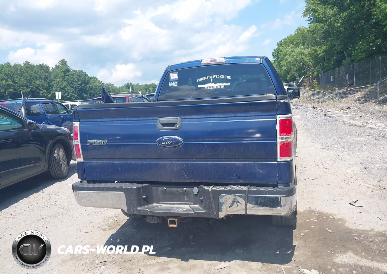 2009 Ford F-150 Xl-Xlt VIN:1FTRW148X9FA74791 - 16