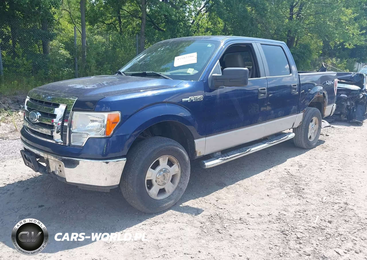 2009 Ford F-150 Xl-Xlt VIN:1FTRW148X9FA74791 - 2