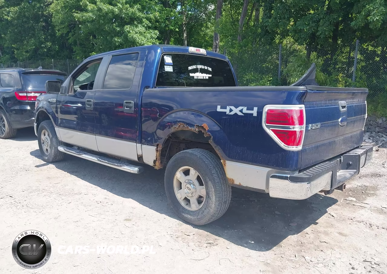 2009 Ford F-150 Xl-Xlt VIN:1FTRW148X9FA74791 - 3
