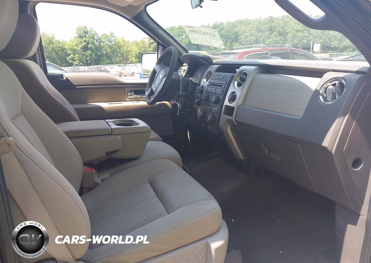 2009 Ford F-150 Xl-Xlt VIN:1FTRW148X9FA74791 - 5