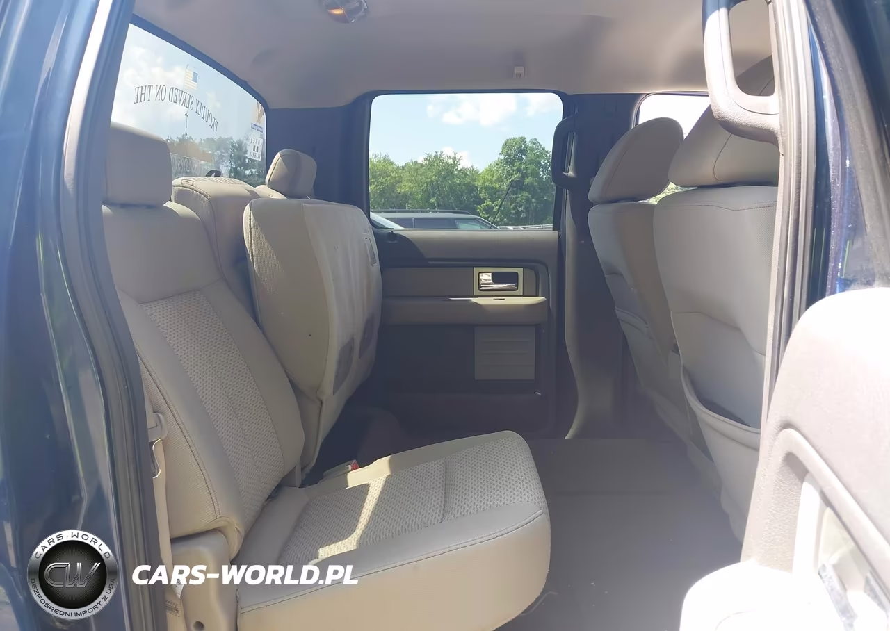2009 Ford F-150 Xl-Xlt VIN:1FTRW148X9FA74791 - 8