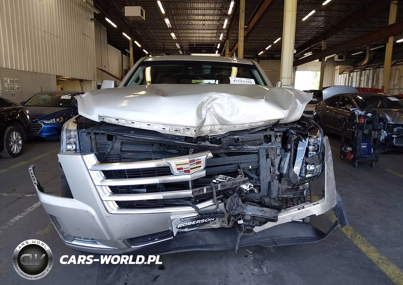 2016 Cadillac Escalade Esv Luxury Collection VIN:1GYS4HKJ7GR142752 - 12