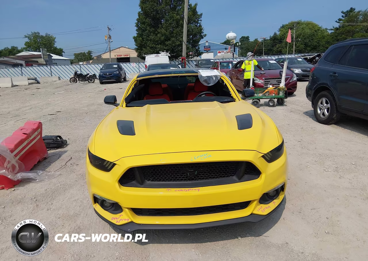 2015 Ford Mustang Gt Premium VIN:1FA6P8CF5F5310246 - 12