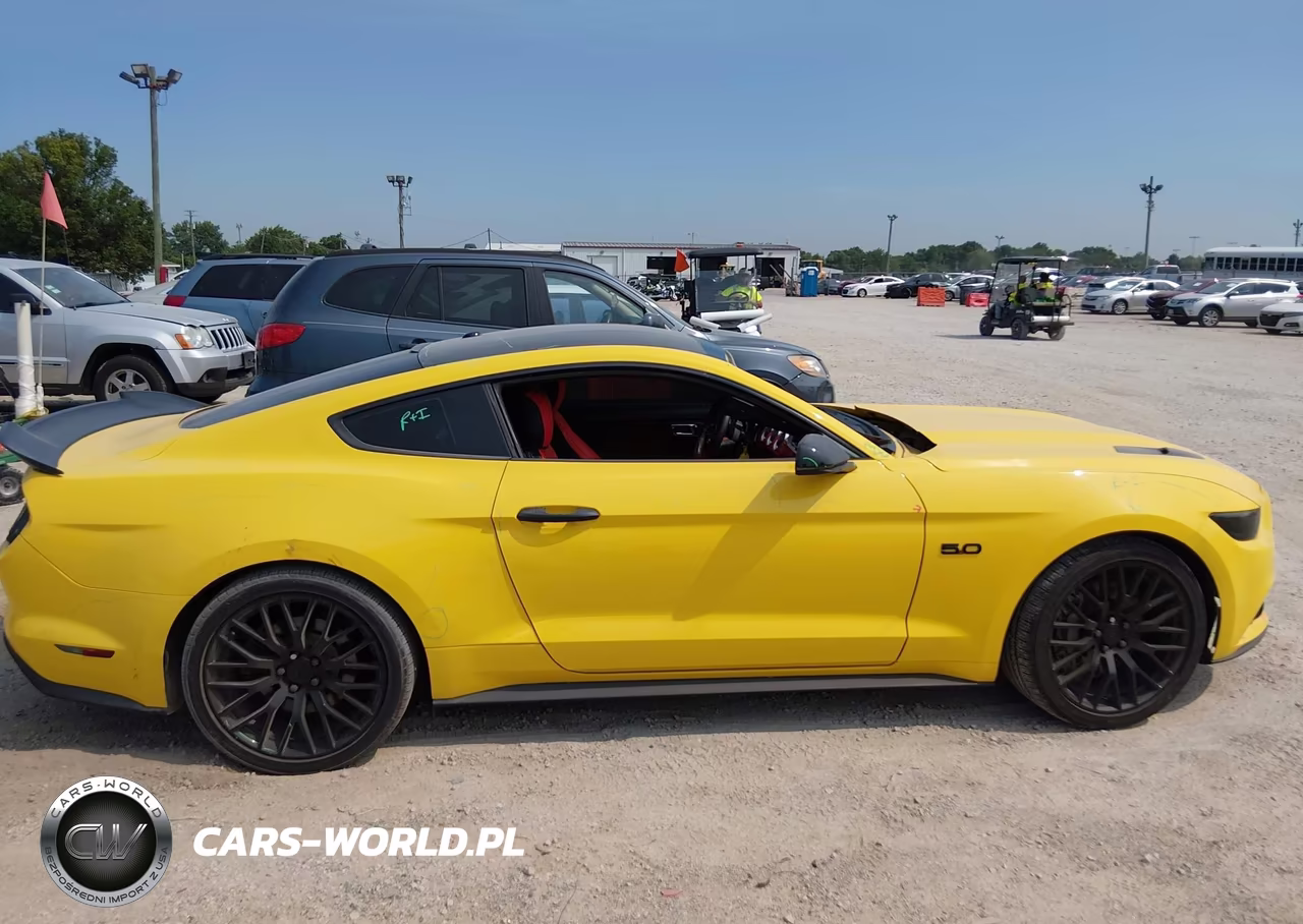 2015 Ford Mustang Gt Premium VIN:1FA6P8CF5F5310246 - 13
