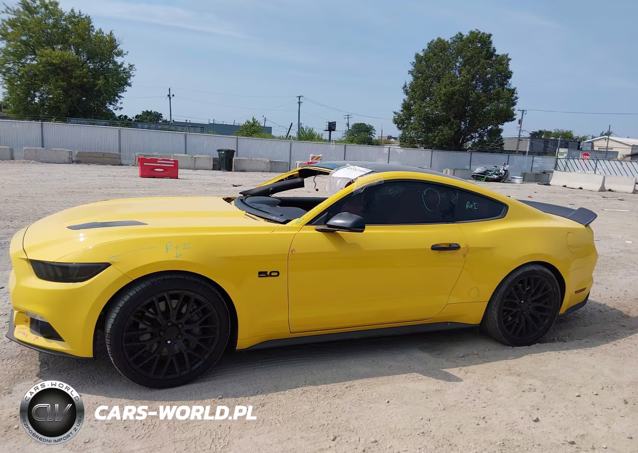 2015 Ford Mustang Gt Premium VIN:1FA6P8CF5F5310246 - 14