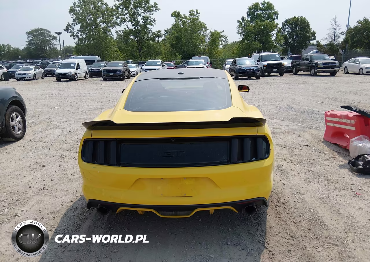 2015 Ford Mustang Gt Premium VIN:1FA6P8CF5F5310246 - 16