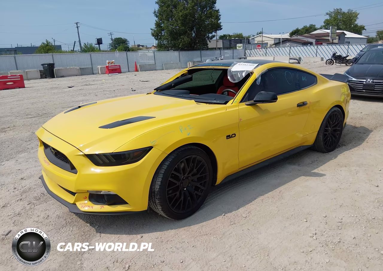 2015 Ford Mustang Gt Premium VIN:1FA6P8CF5F5310246 - 2