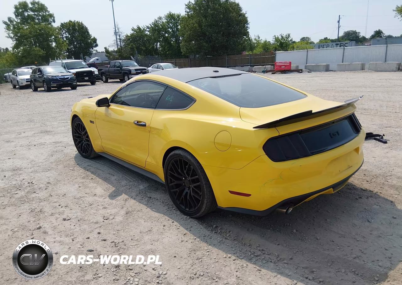 2015 Ford Mustang Gt Premium VIN:1FA6P8CF5F5310246 - 3