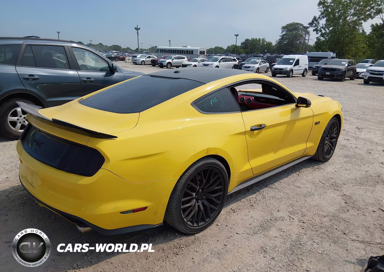 2015 Ford Mustang Gt Premium VIN:1FA6P8CF5F5310246 - 4