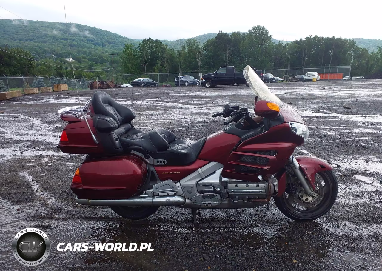 2004 Honda Gl1800 VIN:1HFSC47024A302909 - 12