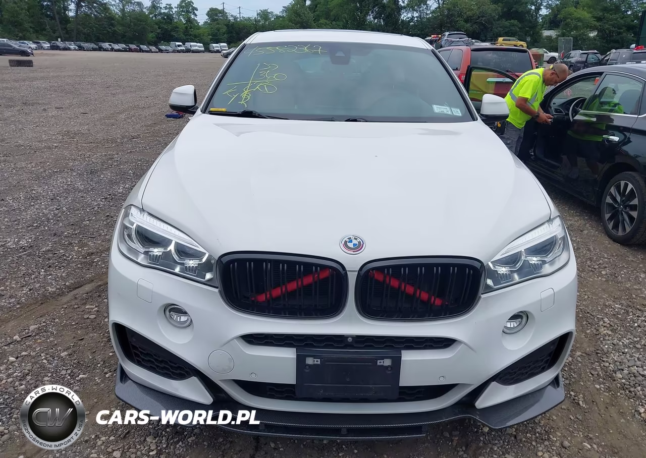 2017 BMW X6 xDrive50I VIN:5UXKU6C33H0W38713 - 12