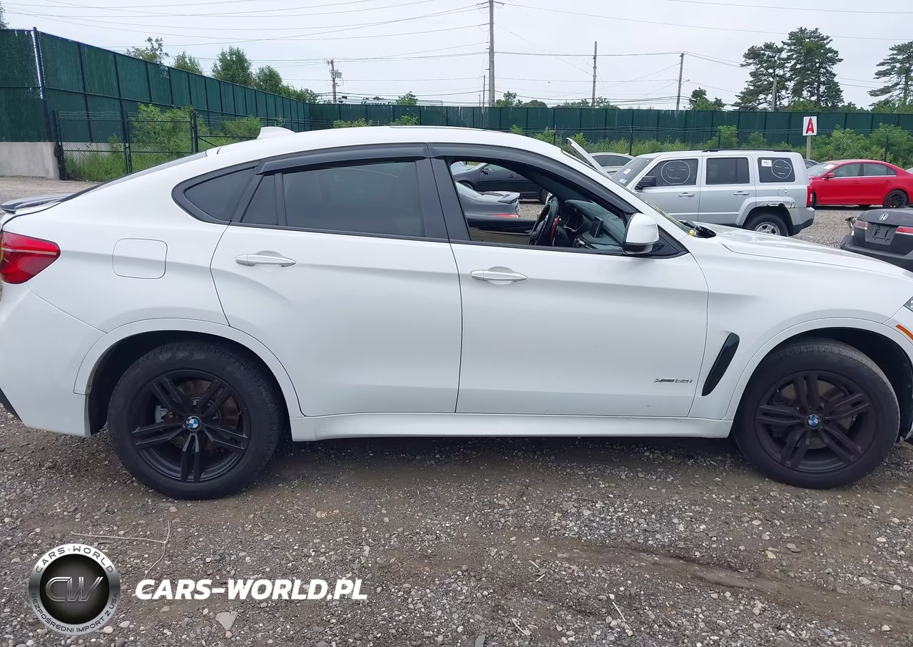 2017 BMW X6 xDrive50I VIN:5UXKU6C33H0W38713 - 13