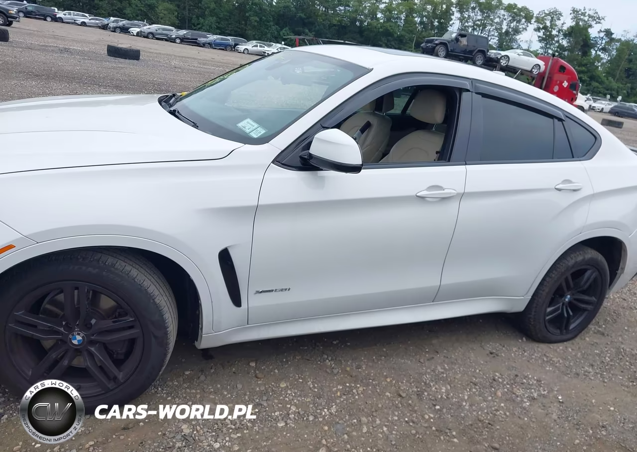 2017 BMW X6 xDrive50I VIN:5UXKU6C33H0W38713 - 14