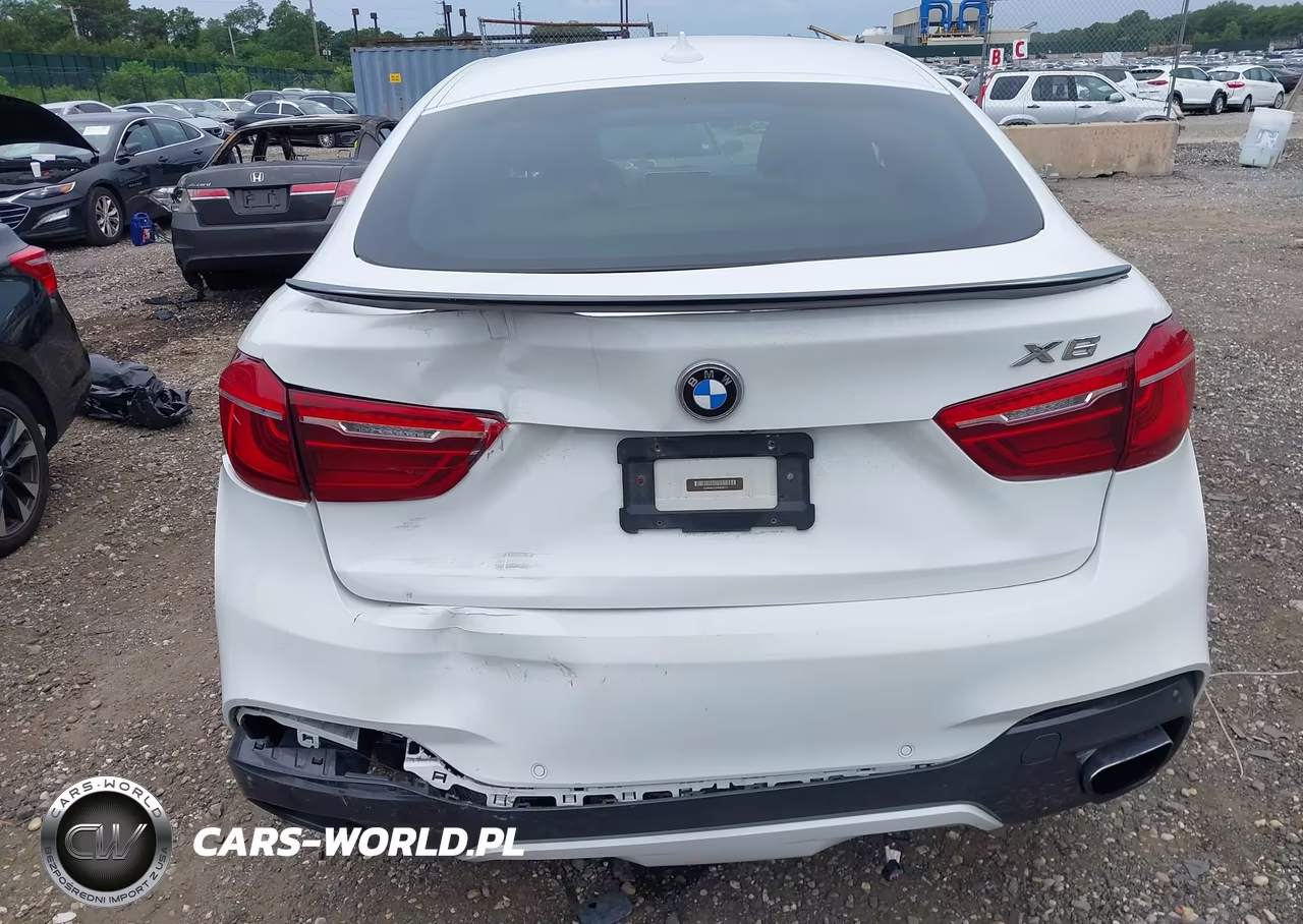 2017 BMW X6 xDrive50I VIN:5UXKU6C33H0W38713 - 16