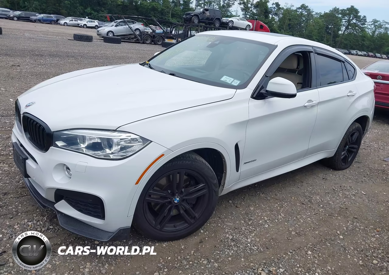 2017 BMW X6 xDrive50I VIN:5UXKU6C33H0W38713 - 2