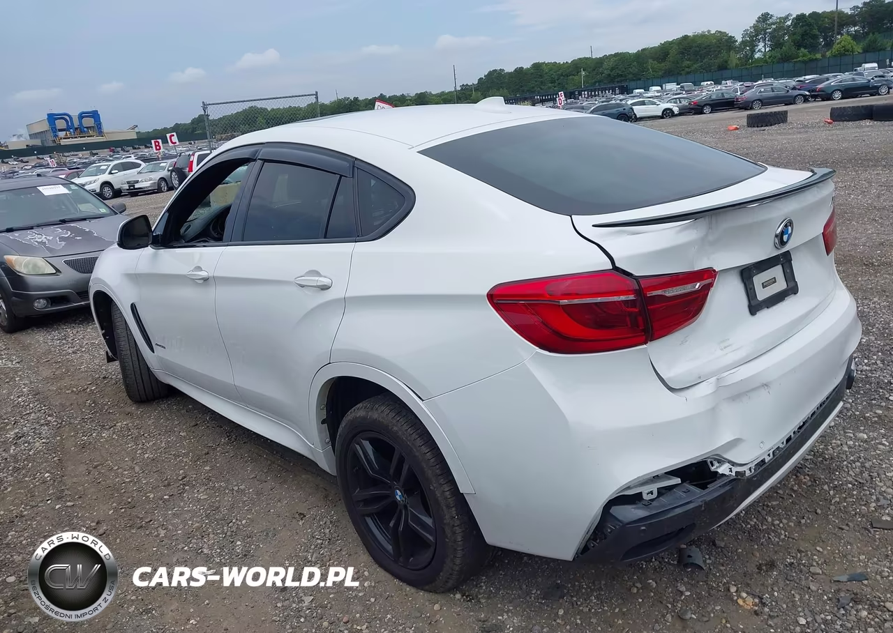 2017 BMW X6 xDrive50I VIN:5UXKU6C33H0W38713 - 3