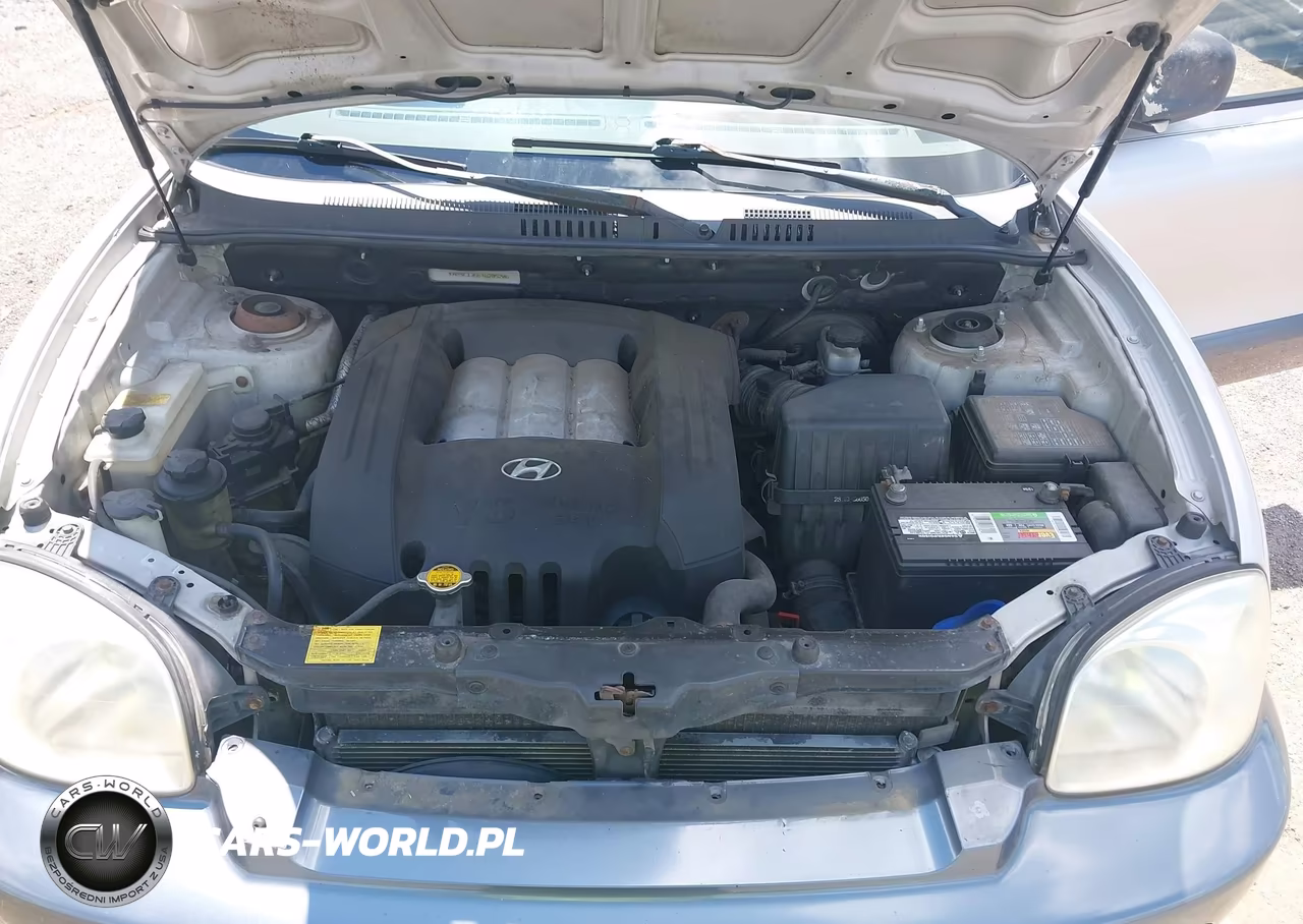 2004 Hyundai Santa Fe Gls VIN:KM8SC13D64U705206 - 10
