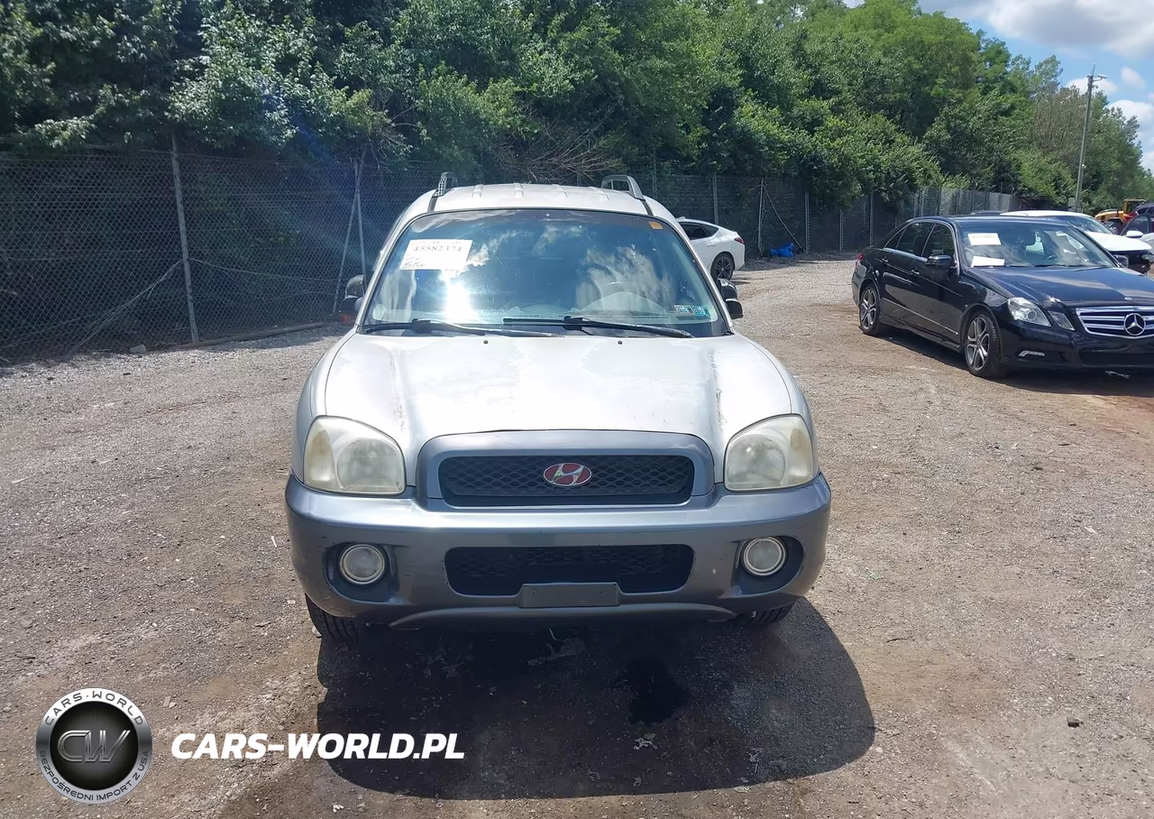 2004 Hyundai Santa Fe Gls VIN:KM8SC13D64U705206 - 12